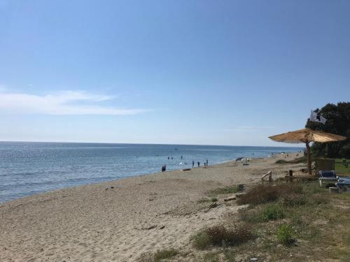 A 5 Mn A Pied De La Mer, Piscine ,Tennis, Paillote Cervione Dış mekan fotoğraf